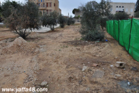 يافا: مخاوف من نجاح شركة بئمونة الاستيطانية بالاستحواذ على قطعة الأرض المحاذية لأرض السوق